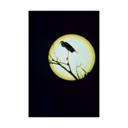 American Eyes 'Egret Silhouette' Canvas Art,22x32